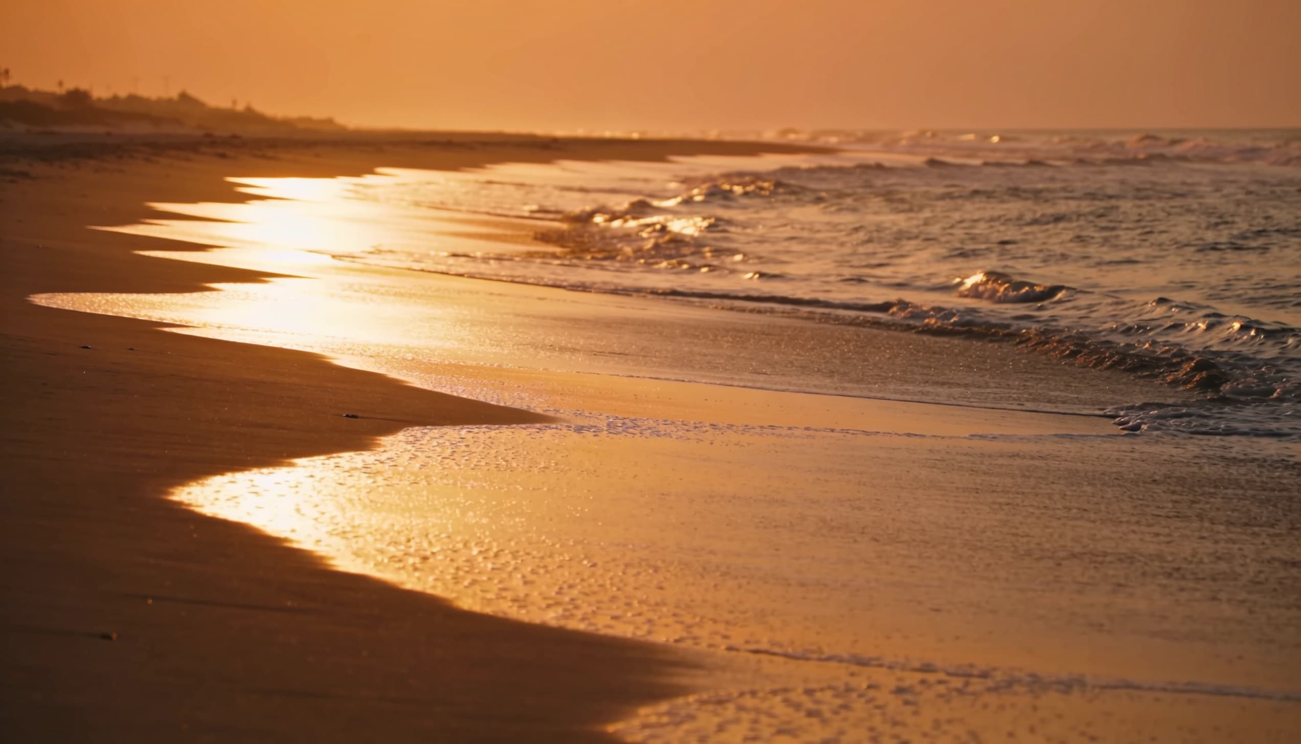 Bangladesh — Sundarbans, Sylhet tea hills and the world's longest beach.