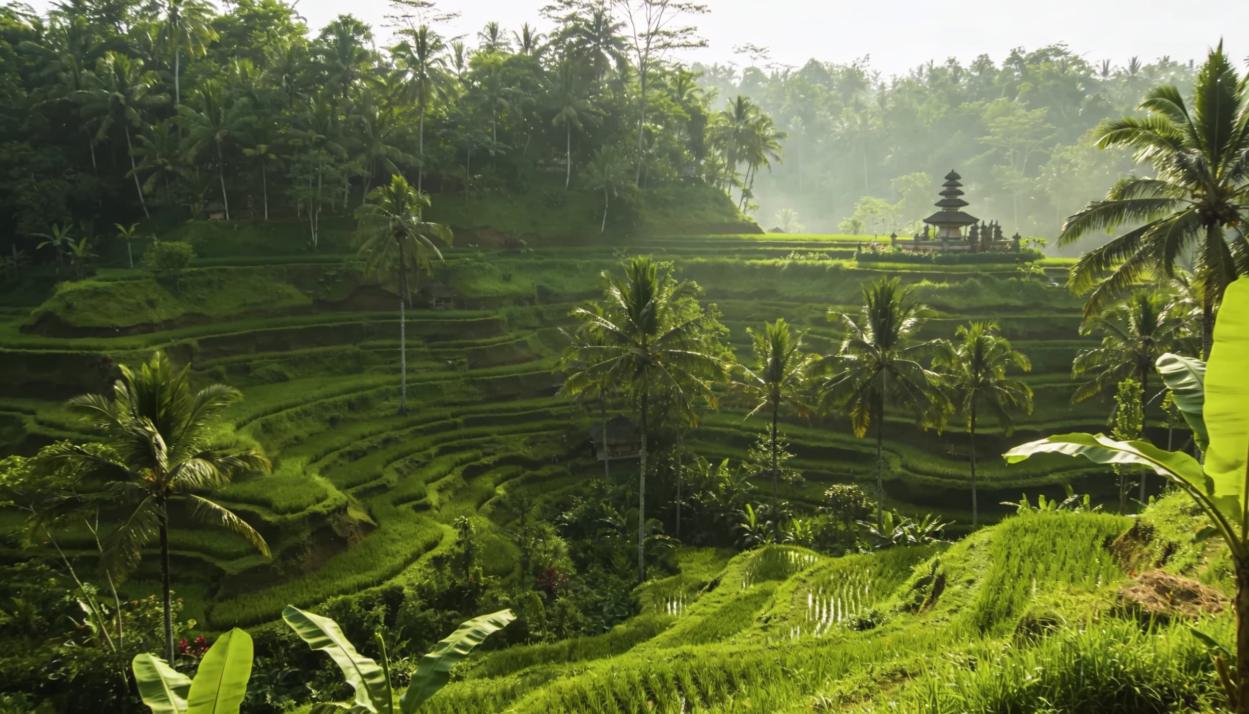 Ubud Jungle Resort, Ubud, Bali